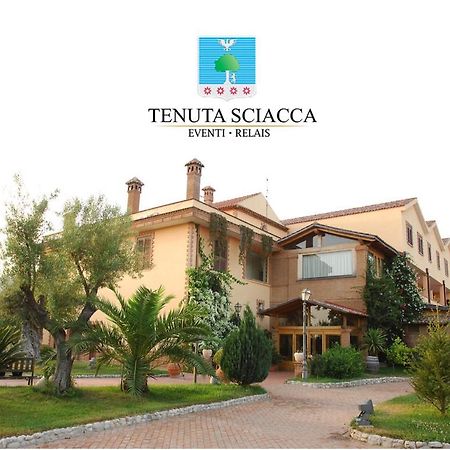 Villa Tenuta Sciacca à Falciano del Massico Extérieur photo