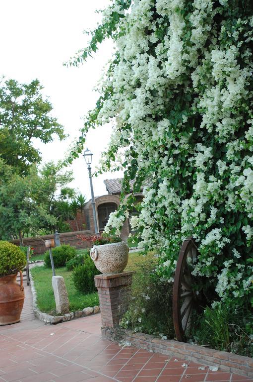 Villa Tenuta Sciacca à Falciano del Massico Extérieur photo