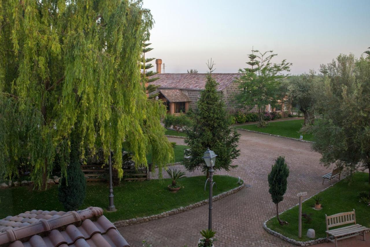 Villa Tenuta Sciacca à Falciano del Massico Extérieur photo